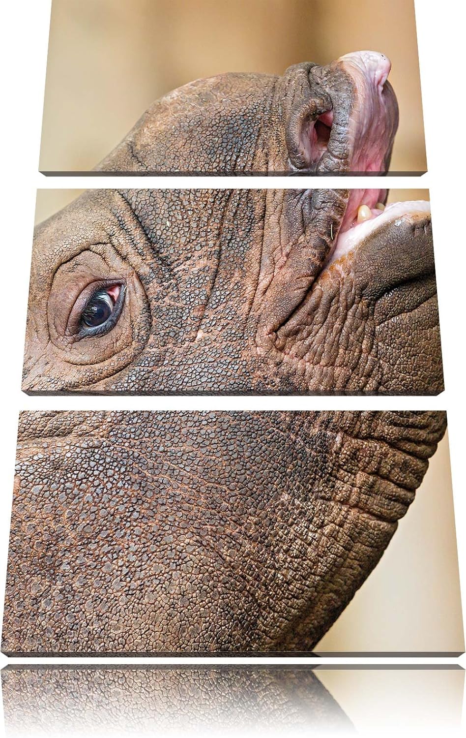 Nashorn 3-Teiler Leinwandbild 120x80 Bild auf Leinwand, XXL riesige Bilder fertig gerahmt mit Keilra