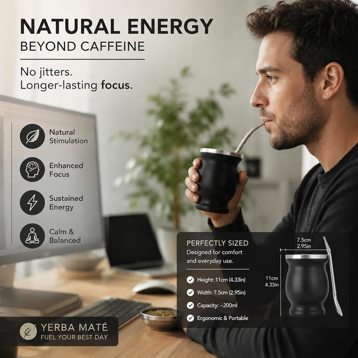 Yerba Mate Becher, Edelstahl Mate Becher Mit Reinigungsbürste Schwarzer Yerba Mate Strohhalm Mate Te
