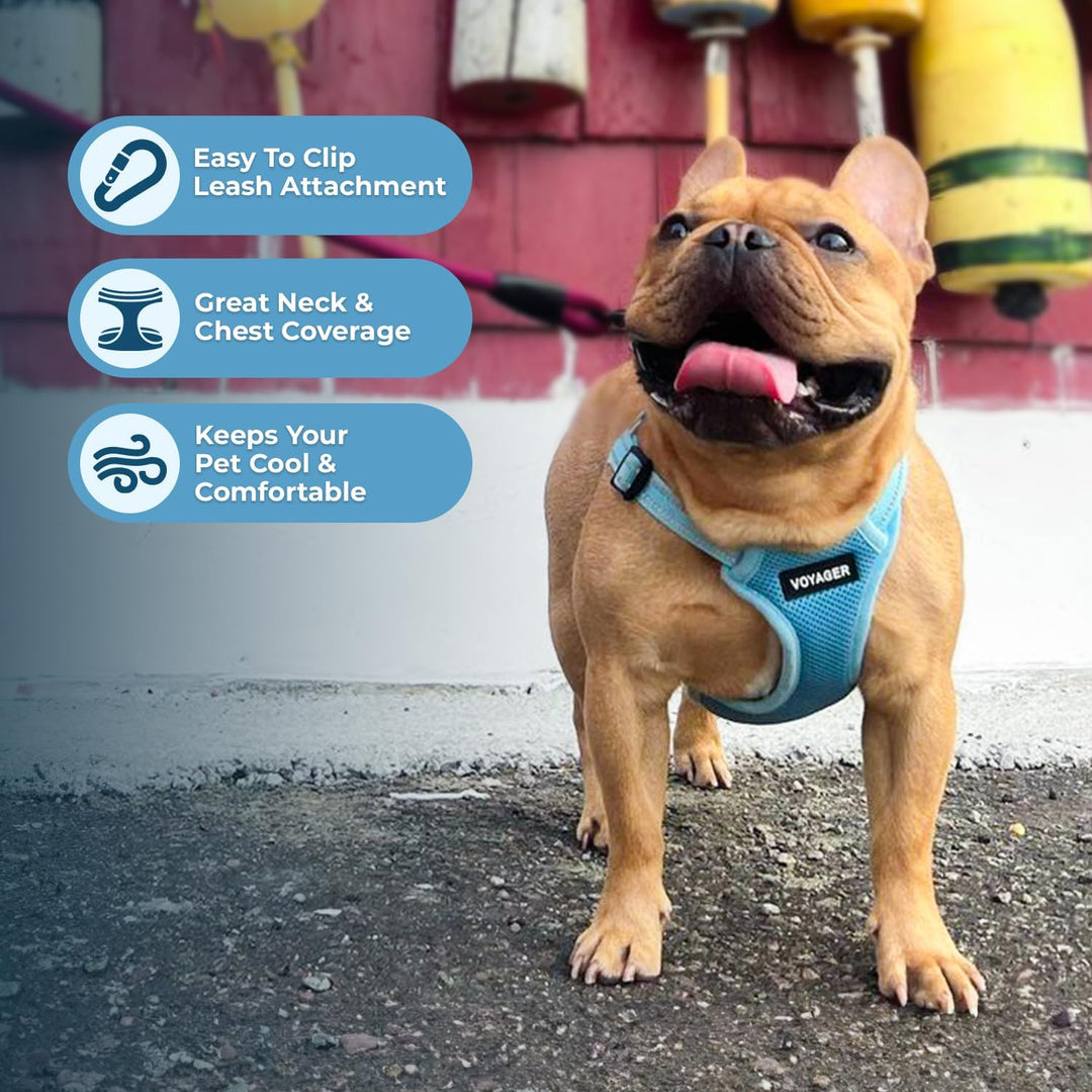 Voyager Verstellbares Hundegeschirr mit Reflektorstreifen by Best Pet Supplies - Strapazierfähige Ga