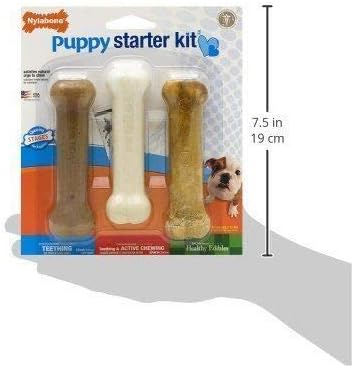 Nylabone Kauspielzeug für Welpen Starter Kit 3 Stück (1er Pack), 3 Stück (1er Pack)