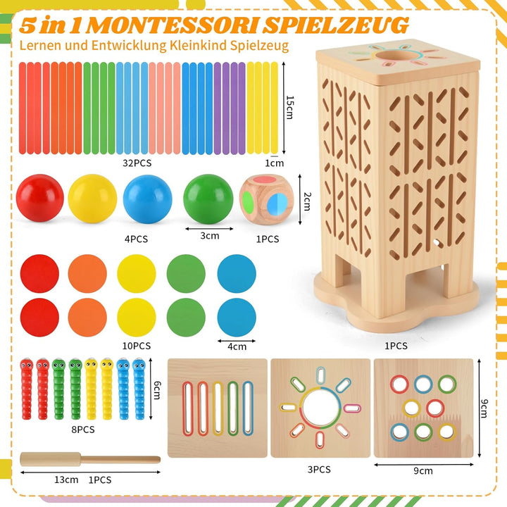 Montessori Spielzeug ab 3 Jahre, Sensorik Spielzeug Montessori Spielzeug ab 1 Jahr, 5-in-1 Holz Sort