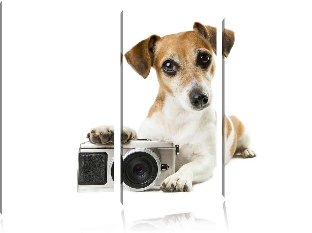 Pixxprint Niedlicher Hundewelpe mit Kamera 3-Teiler Leinwandbild 120x80 Bild auf Leinwand, riesige B