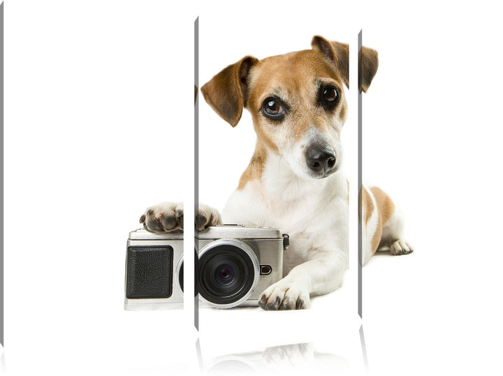 Pixxprint Niedlicher Hundewelpe mit Kamera 3-Teiler Leinwandbild 120x80 Bild auf Leinwand, riesige B