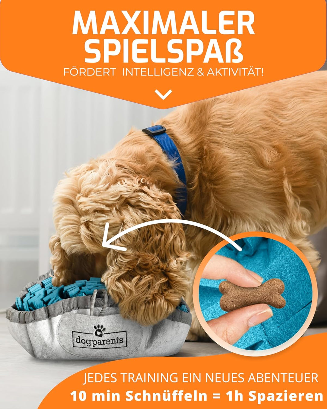 DOGPARENTS® Schnüffelteppich Hund klein & gross – Schnüffelmatte ROBUSTER Schnüffelteppich für Hunde