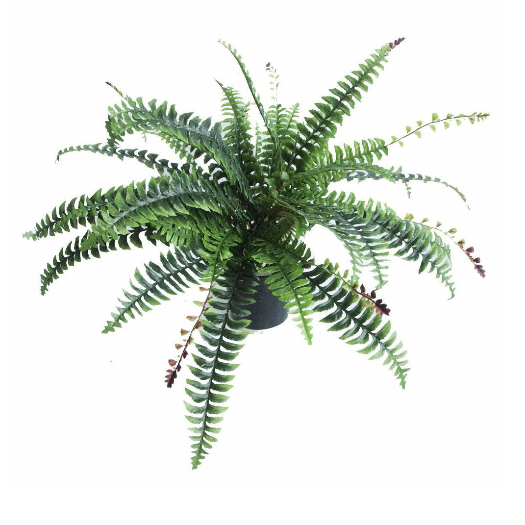 Leaf Kunstpflanze Boston Farn, Kunststoff, 60 cm, Schwarz, LEAF-7104 60cm Boston Fern 60cm Boston Fe
