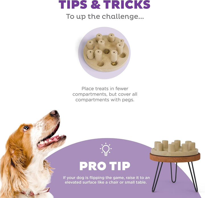 Outward Hound Nina Ottosson Dog Smart Treat Puzzle Enrichment Toy, Level 1 Beginner, Tan, Composite,
