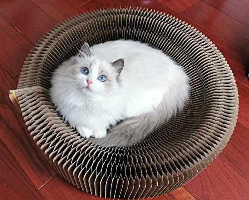 Kratzbett für Katzen, zusammenklappbar, runde Form für grosse Katzen