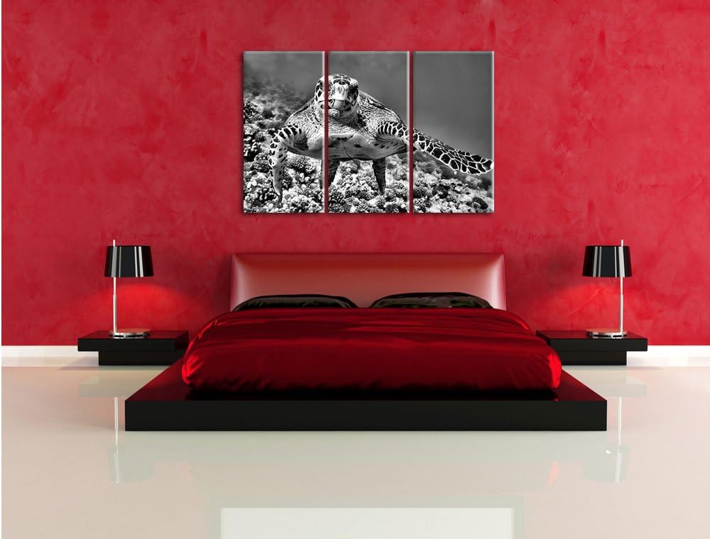 Pixxprint Schildkröte Korallenriff als Leinwandbild | Grösse: 3 Teilig (120x80) | Wandbild| Kunstdru