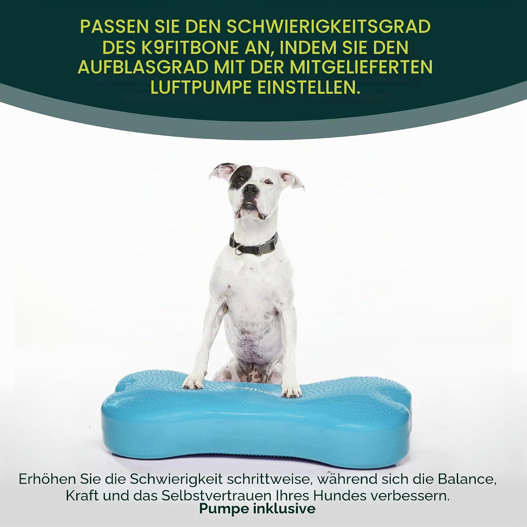 FitPAWS Giant Fitbone (blau)