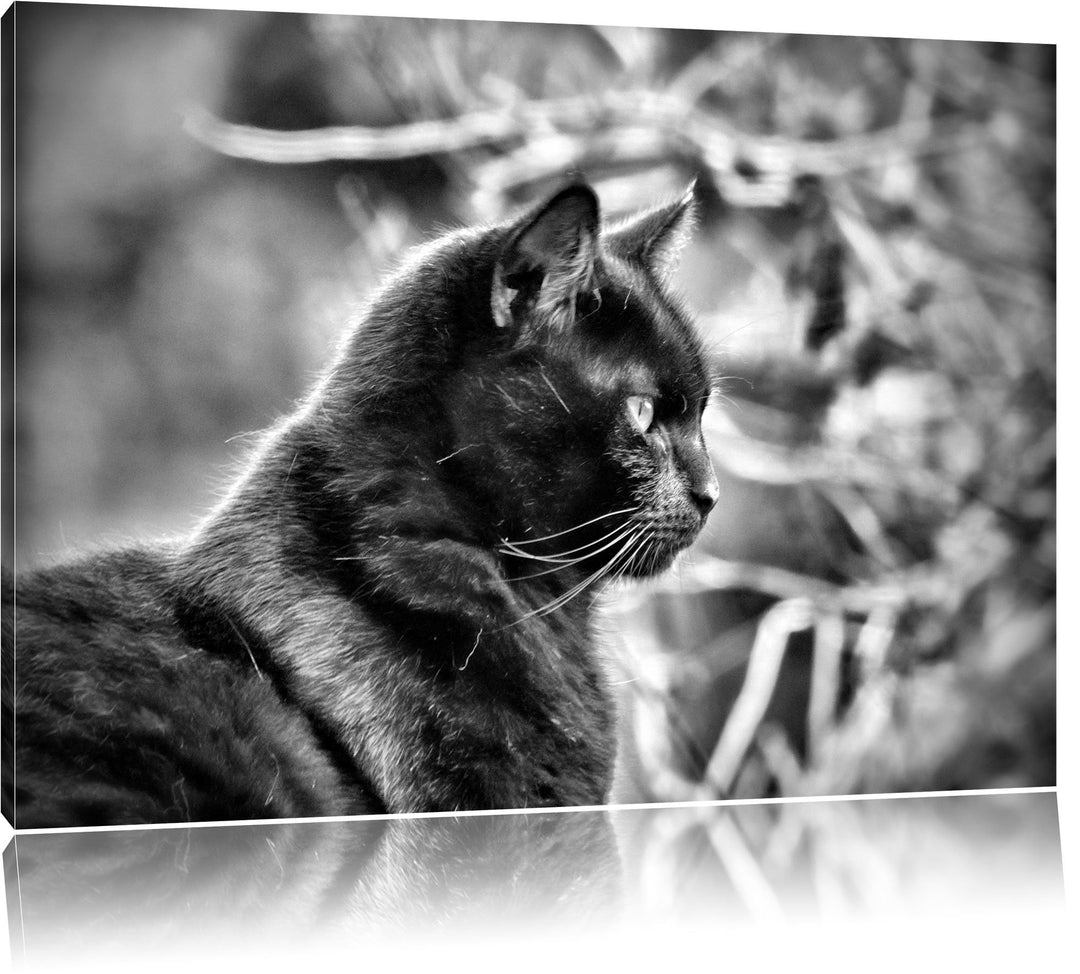 Monocrome, schwarze Katze, Format: 100x70 auf Leinwand, XXL riesige Bilder fertig gerahmt mit Keilra