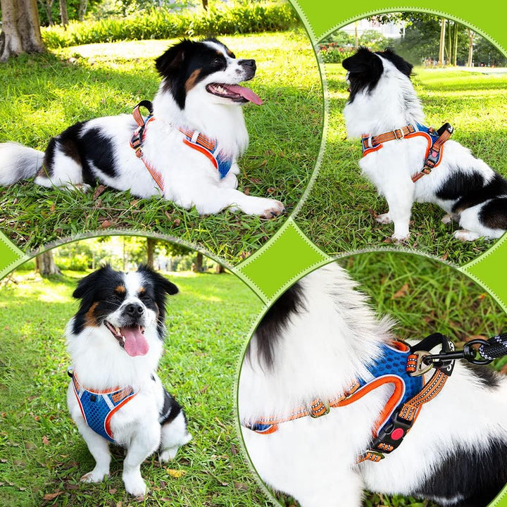 Eyein No-Pull Hundegeschirr, Air-Mesh Atmungsaktiv Brustgeschirr für kleine, mittelgrosse und grosse