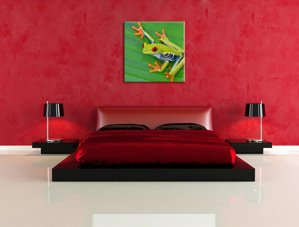 Pixxprint Kleiner grüner Frosch auf Blatt als Leinwandbild/Grösse: 70x70 cm/Wandbild/Kunstdruck/fert