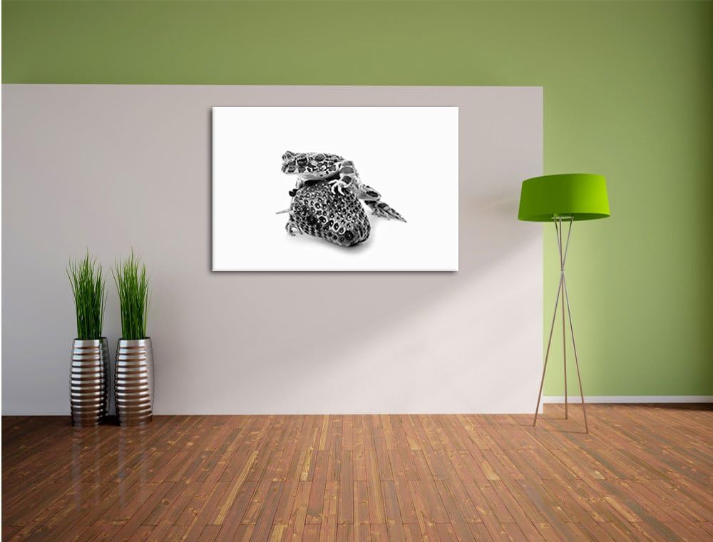 Pixxprint Glas Erdbeere Frosch / 100x70cm Leinwandbild bespannt auf Holzrahmen/Wandbild Kunstdruck D