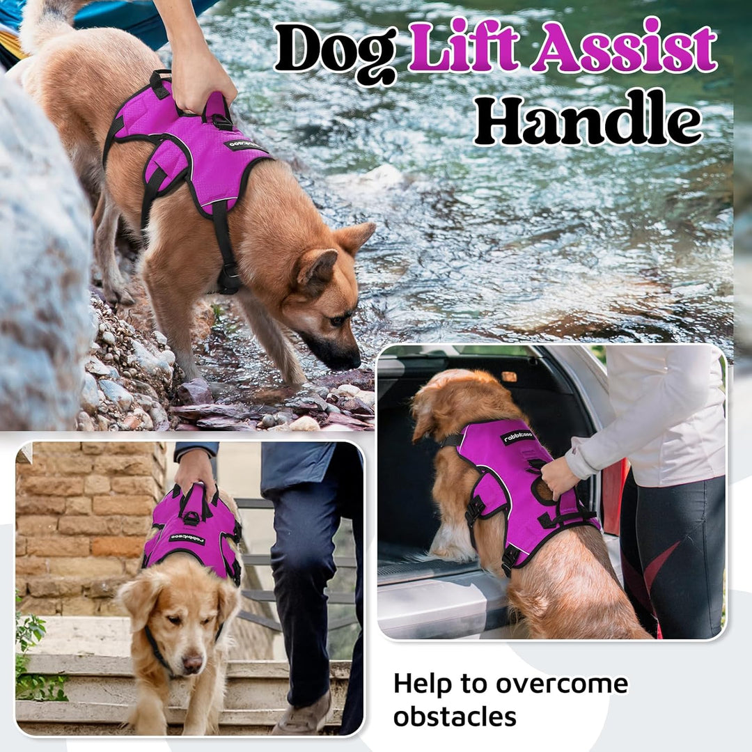 rabbitgoo Ausbruchsichere Hundegeschirr Grosse Hunde mit Griff, Anti Zug Sicherheitsgeschirr Hund At