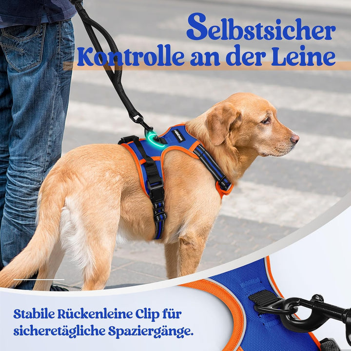 rabbitgoo Hundegeschirr Mittelgrosse Hunde Anti Zug Geschirr Hund mit Kontrolle No Pull Verstellbar