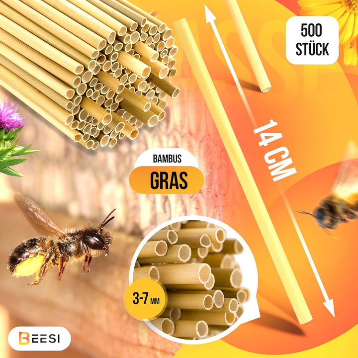 BEESI 500x Bambusgras für Insektenhotel I 14 cm Länge I 3-7mm ⌀ I Füllmaterial Bienenhotel, Wildbien