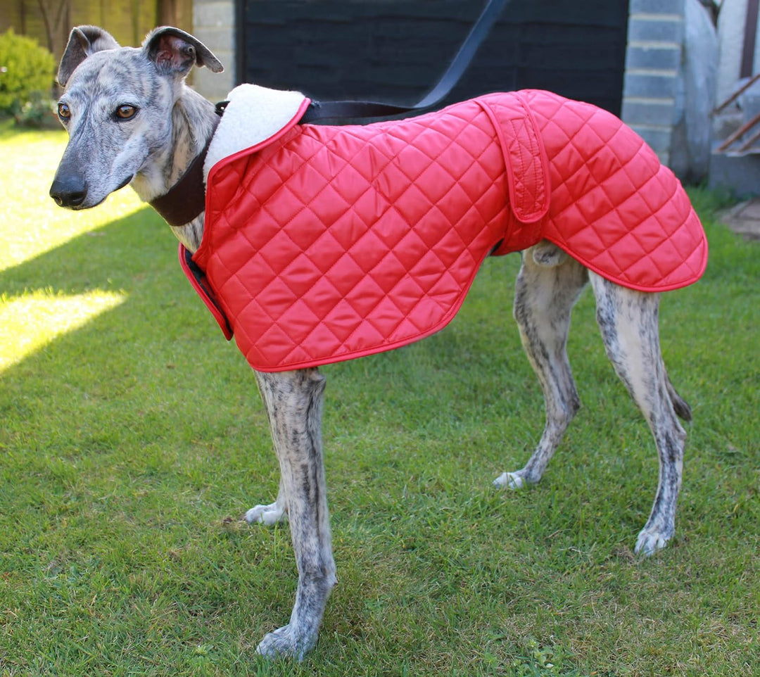 Cosipet Windhund Anorak Hundemantel, Nylon, 51 cm, Rot rot 51 cm (20 Zoll), rot 51 cm (20 Zoll)