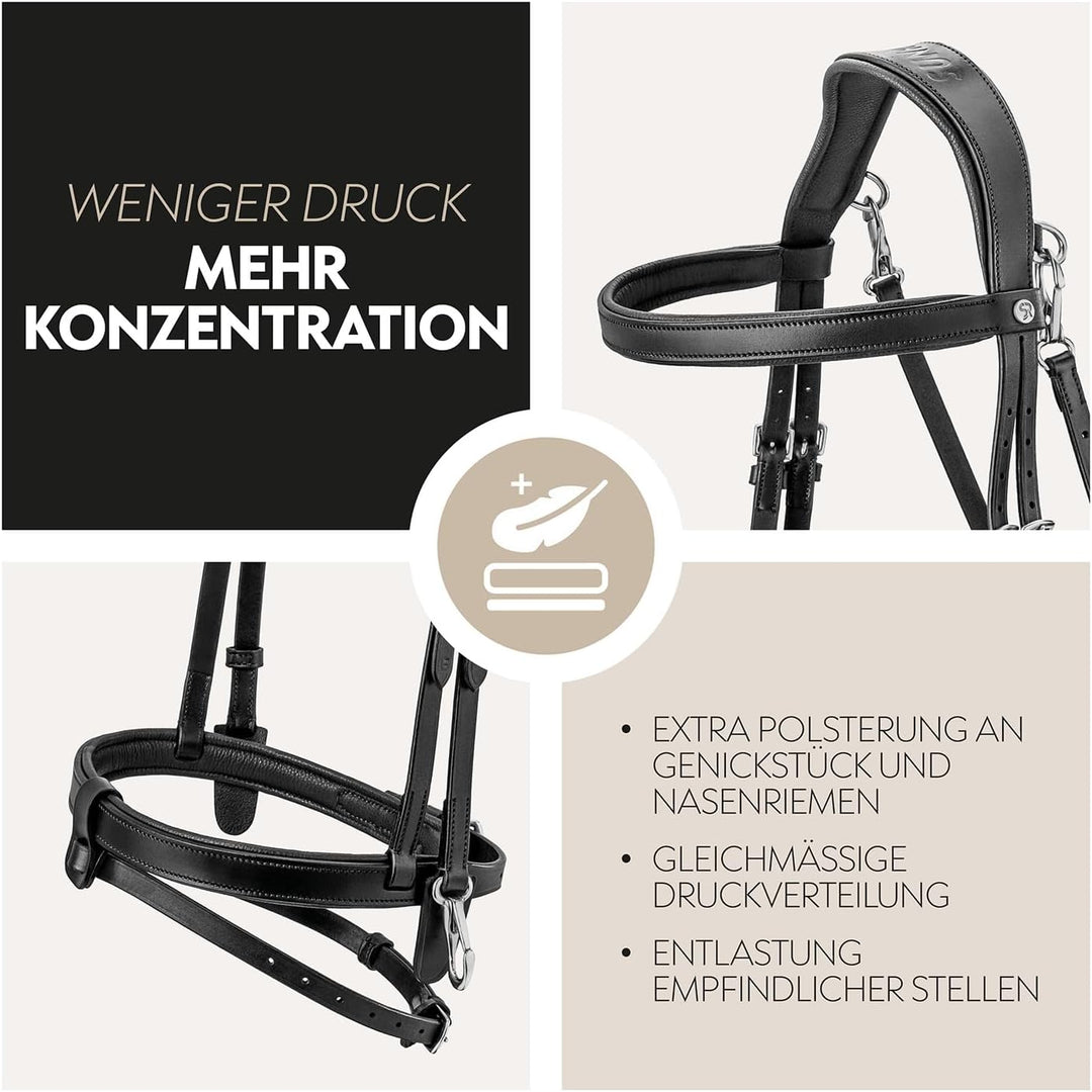 SUNRIDE englisch kombinierte Trense Berlin mit Zügel, aus weichem Echtleder mit Clip-Verschluss, ver