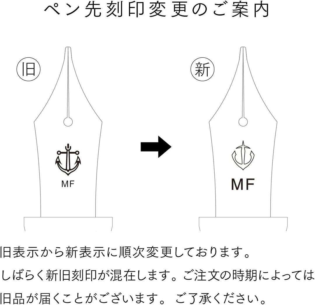 Sailor Pen Fountain Pen Rekuru in a transparent Feeling fine 11-0313-300