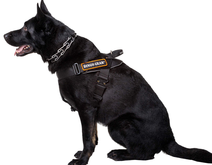 Dingo Gear Geschirr für Hunde in der Arbeit Grosse M,Training K9 IPO Cobra System, handgefertigt Sch