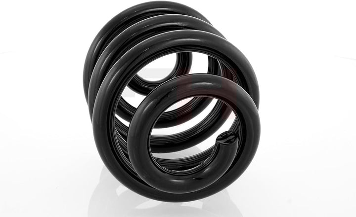 GH - GH-224724 1x Feder Hinten Rechts=Links
