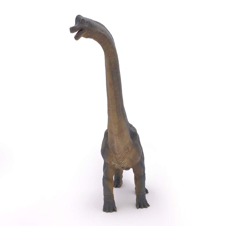 PAPO 55030 Dinosaurier, Brachiosaurus Figur, Mehrfarben Brachiosaurus die Dinosaurier Figur, Mehrfar