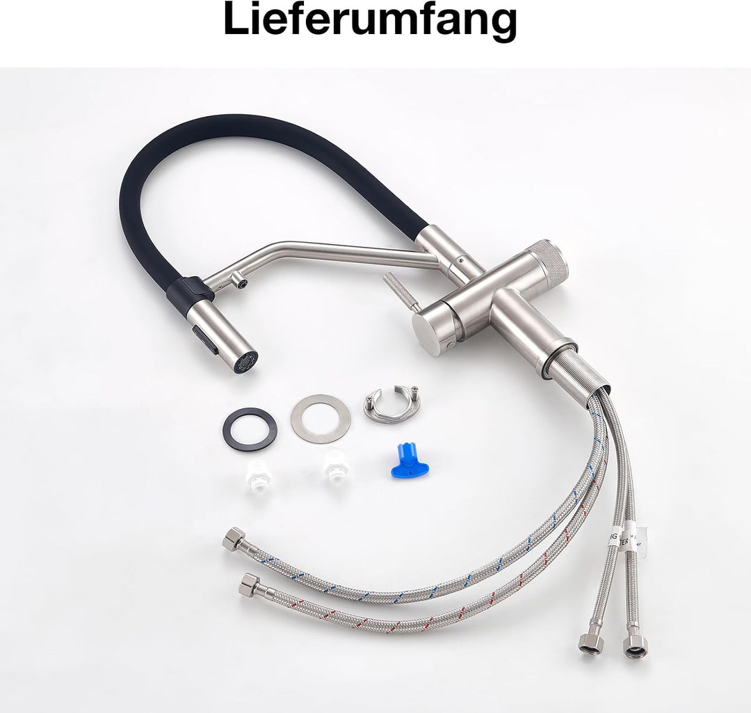 Faustina 4 Wege Küchenarmatur abnehmbar, Doppelhebel Armatur Wasserhahn Küche mit Trinkwasser und So