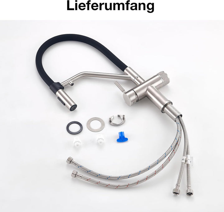 Faustina 4 Wege Küchenarmatur abnehmbar, Doppelhebel Armatur Wasserhahn Küche mit Trinkwasser und So