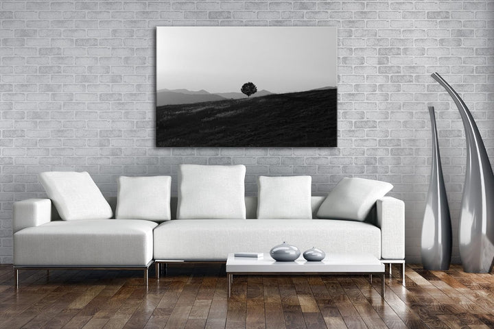 deyoli Baum in einsamer Landschaft in Umbrien Effekt: Schwarz/Weiss im Format: 80x60 als Leinwandbil
