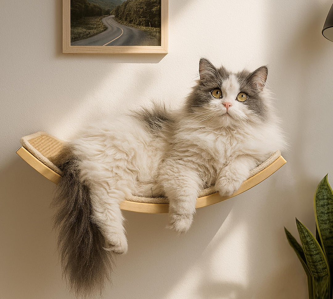 Katzen Kletterwand, Gebogenes Katzen-Wandregal mit Sisal-Kratzmatte, Wandmontiertes Massivholz Katze