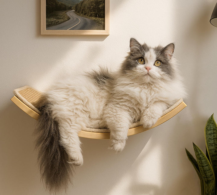 Katzen Kletterwand, Gebogenes Katzen-Wandregal mit Sisal-Kratzmatte, Wandmontiertes Massivholz Katze