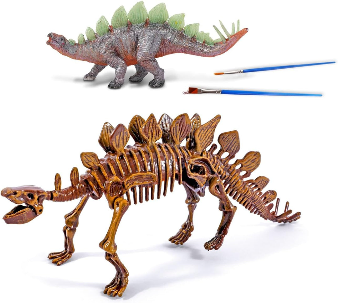 EGGBOX Dinosaurier Skelett Ausgrabungsset für Kinder, 2-in-1 Stegosaurus Dino Dig & Malset, Dinosaur