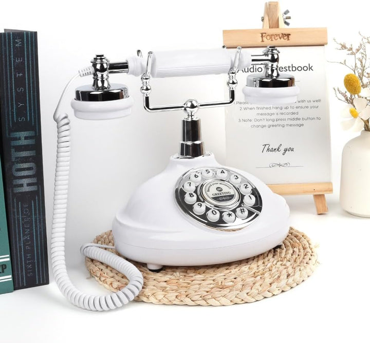 Audio-Gästebuch, Hochzeitstelefon, Aufzeichnung individueller Audio-Nachrichten mit Gästebuch, Retro