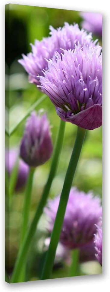 Leinwandbild XXL Garten Wandbild Kunst Blumen Violett 60x150 cm Leinwandbild 60x150 cm Violett_c, Le