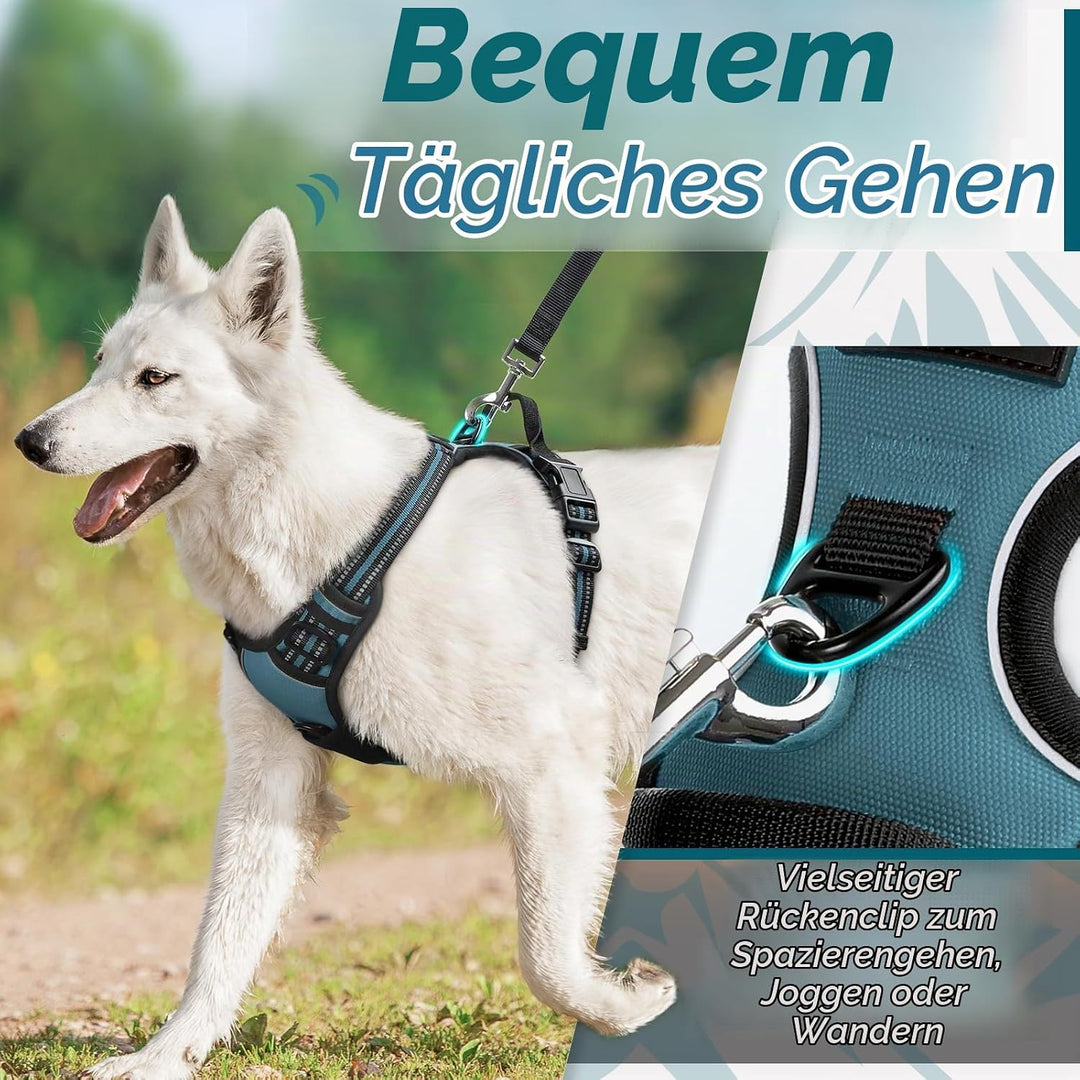Eagloo Hundegeschirr Kleine Hunde, Anti Zug Hundegeschirr mit Reflexstreifen und Kontrolle, Verstell