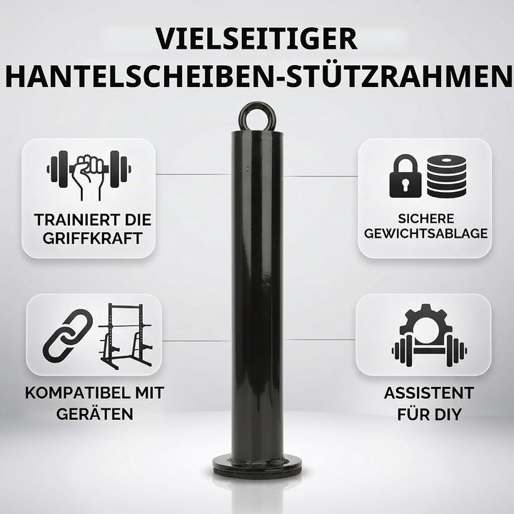 Alomejor Ladestift Fitness Barbell Slice Stützrahmen Edelstahl Freeweight Bar Ladestift Barbell Plat