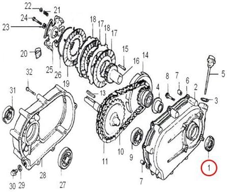 dm Oelbadkupplung komplett für 270ccm Motoren 25mm Welle
