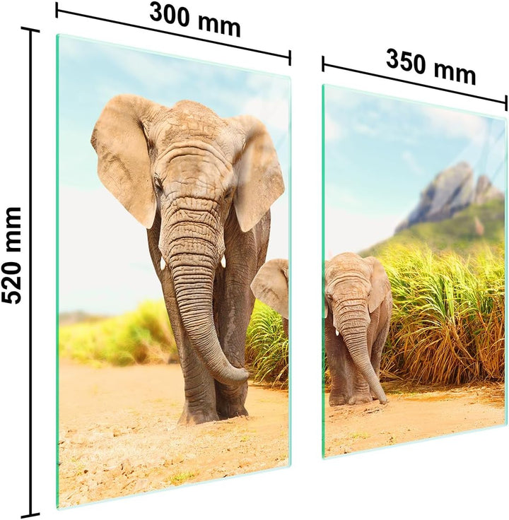 TMK ArtDeko Herdabdeckplatten 2 Teilig 65 x 52 cm Ceranfeldabdeckung Küche Induktion Herdschutz Spri