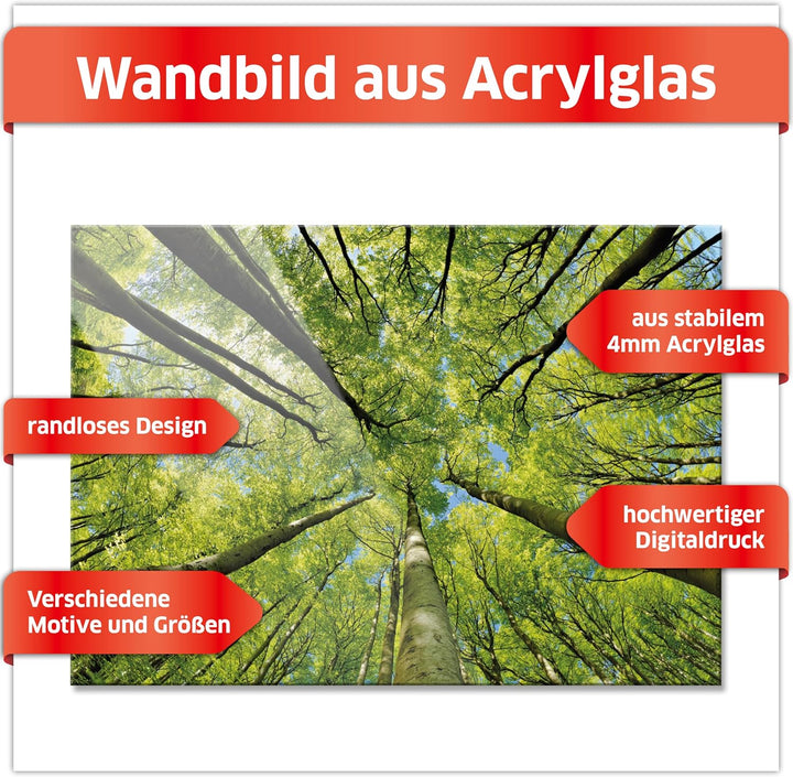 Primus Print - Wandbild Glasbild - Acrylglas Aludibond (Acryl, Bäume 84,1x59,4 cm) Acryl Bäume, Acry