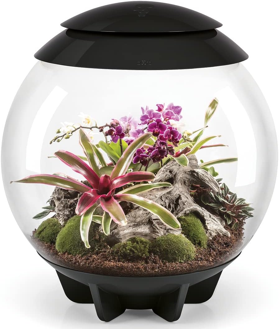 biOrb 72557 biOrb AIR 60 schwarz, Automatisches Terrarium zur bequemen Pflanzenpflege, Acryl, schwar
