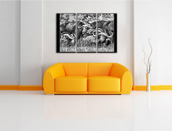 Pixxprint Monocrome, grosse Kaffernbüffel Herde 3-Teiler Leinwandbild 120x80 Bild auf Leinwand