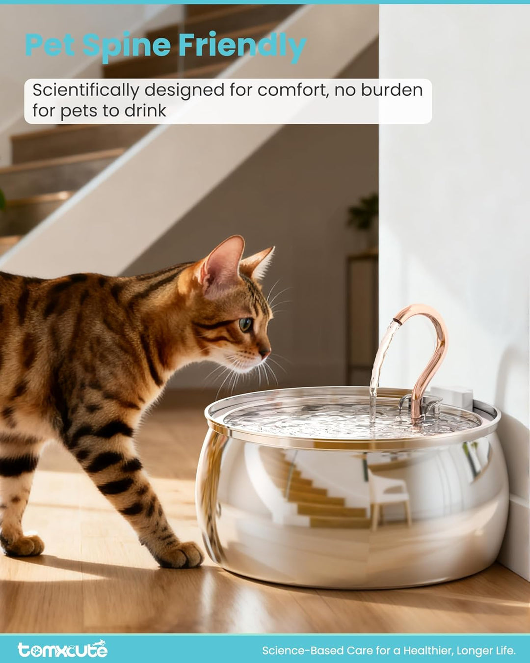 Tomxcute Katzenwasserbrunnen, 4,0 l, automatischer Edelstahl-Haustierbrunnen, Hundewasserspender, Ul