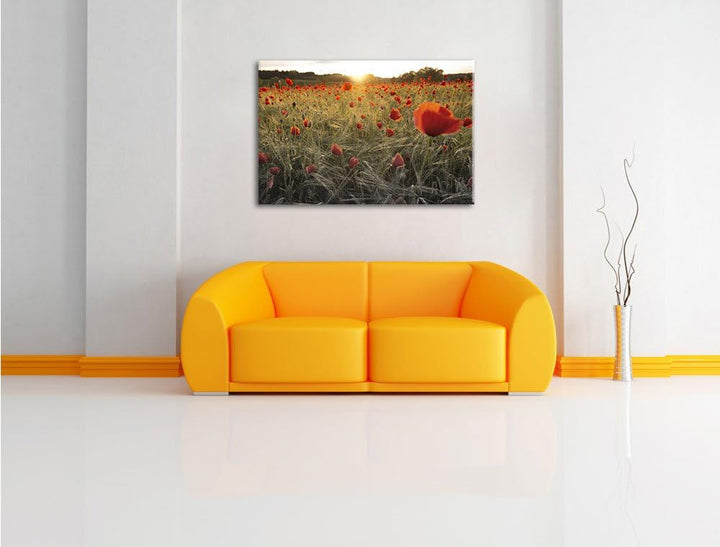 Pixxprint Mohnfeld bei Sonnenuntergang als Leinwandbild/Grösse: 100x70 / Wandbild/Kunstdruck/fertig