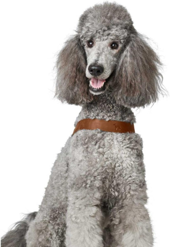Hunter Hundegeschirr DIMARO, Farbe: Cognac, weiches & Robustes Rindsleder, hervorragende Passform, l