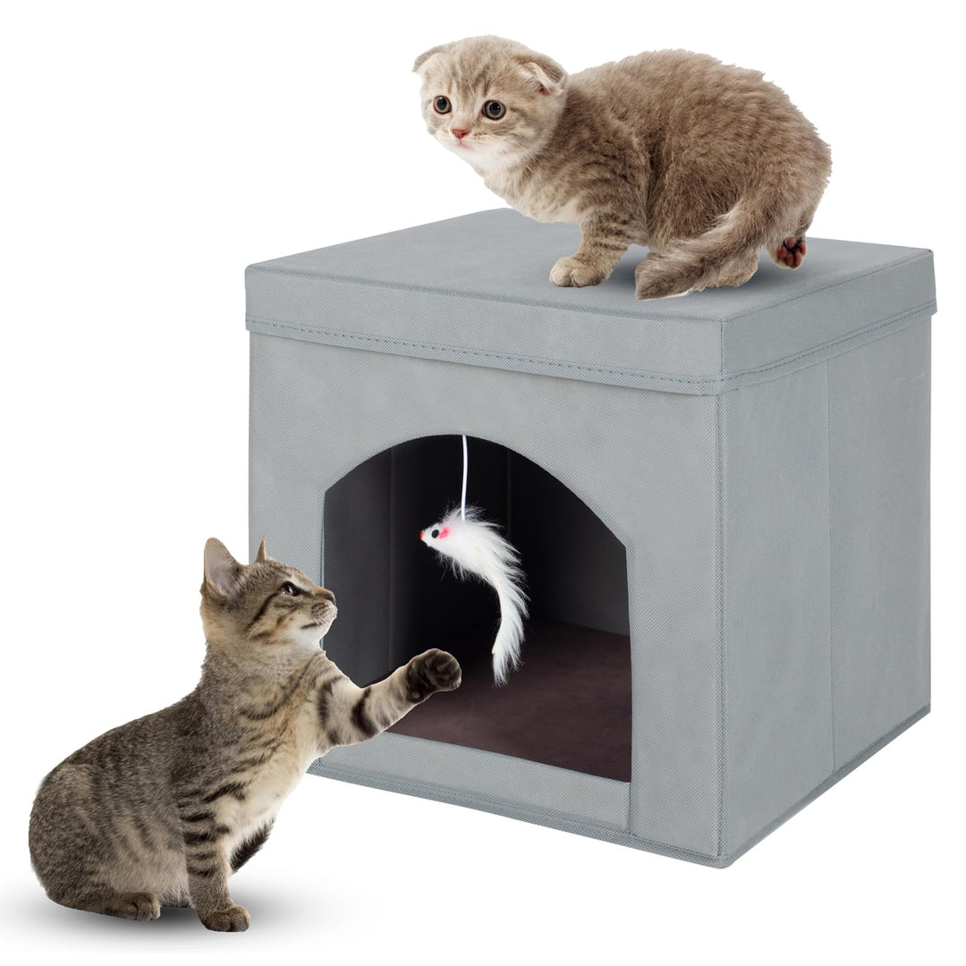 powerking Klappbares Katzenbett für Indoor-Katzen oder Kätzchen, Faltbarer Katzensitz mit Würfel und