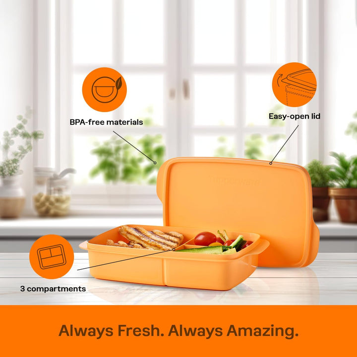 Tupperware Lunch-It Portion & Go Lunchbox für Lebensmittel, spülmaschinenfest, BPA-frei (4 Tassen/1