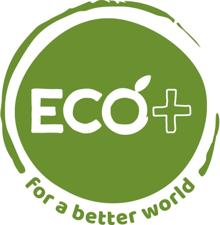 Chicco Steckspiel zum Zusammenbauen mit 10 bunten Elementen, aus recyceltem Kunststoff, Lernspiele 1