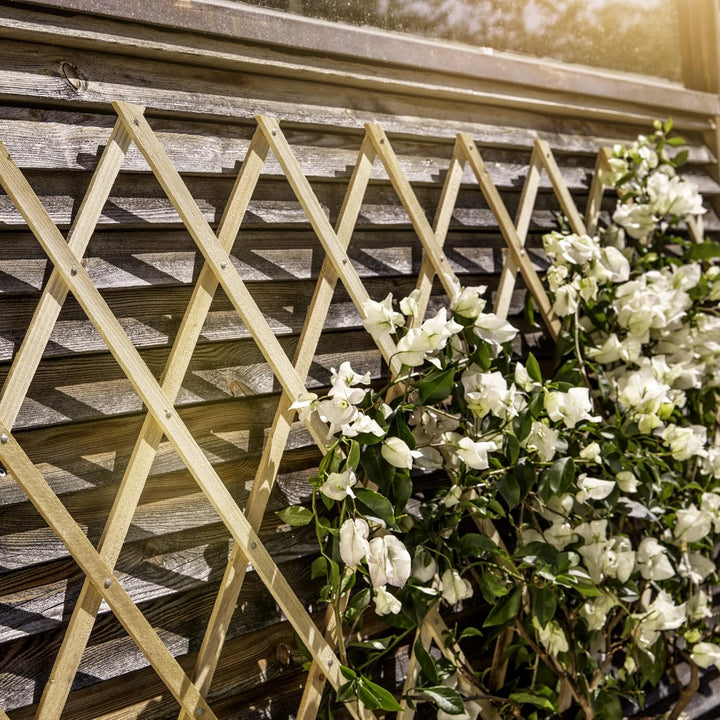 Holz-Spalier 90 x 180cm 90 x 180 cm natur, 90 x 180 cm natur