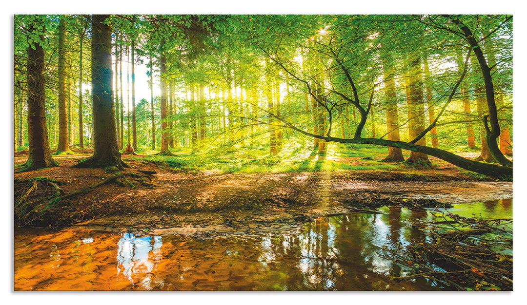 ARTland Spritzschutz Küche aus Alu für Herd Spüle 90x50 cm (BxH) Küchenrückwand mit Motiv Natur Land