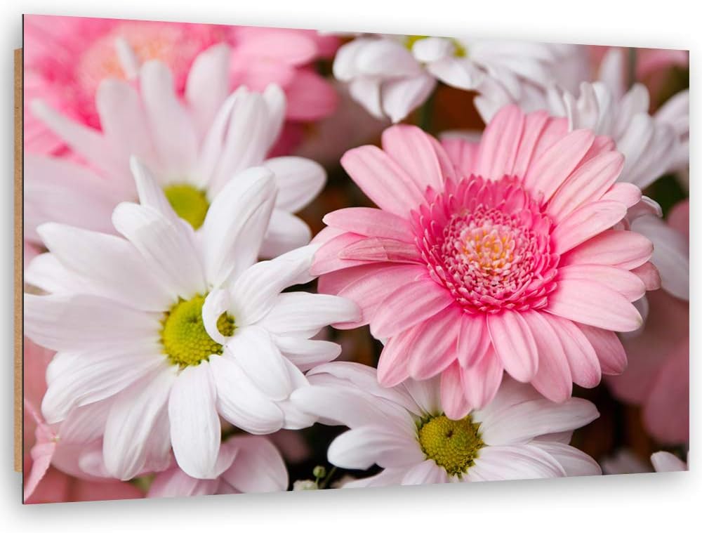 Feeby Wanddeko Blumen Bild Kunstdruck modern Garten Rosa 80x60 cm Deko Paneel 80x60 cm Rosa_D, Deko